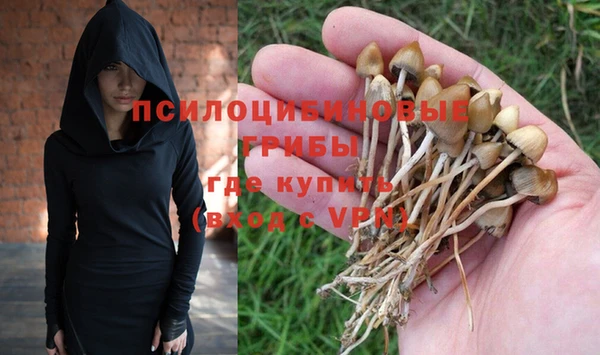 не бодяженный Алексин