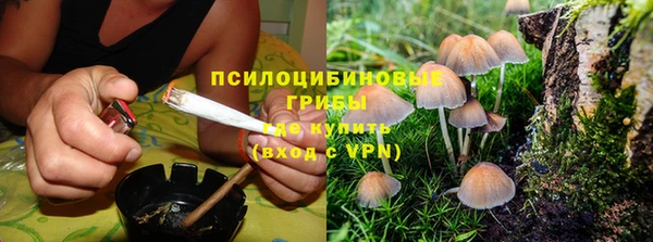 тгк Алексеевка