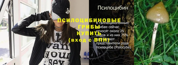 тгк Алексеевка