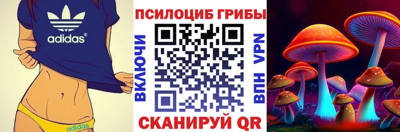 Галлюциногенные грибы прущие грибы  Апрелевка 