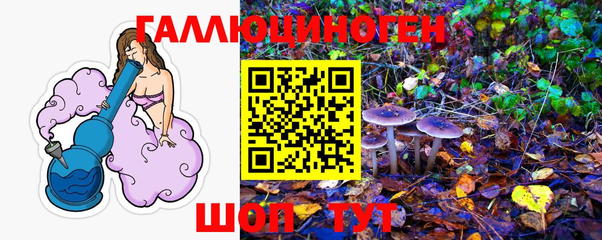 Псилоцибиновые грибы GOLDEN TEACHER Апрелевка